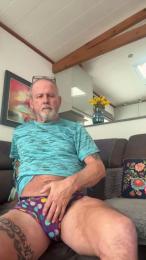 boxerdog3 webcam model stream image