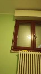 AldoPii webcam model stream image