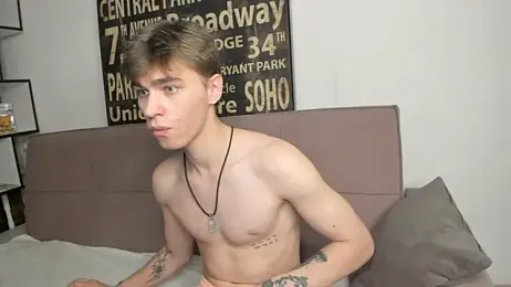 Shadow_blink webcam model stream image