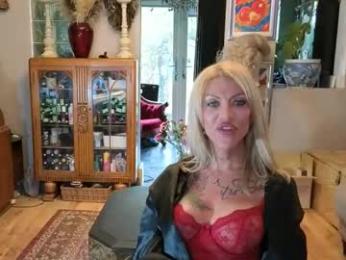 shytrans_uk webcam model stream image