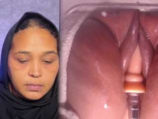 bbwhijab webcam model stream image