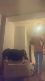 DanWillShock webcam model stream image