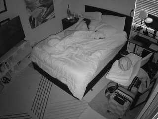 voyeurcam-hornyhostel-01 webcam model stream image