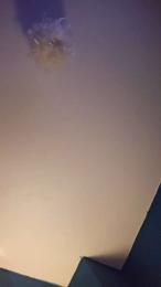 Wetwipeanddry webcam model stream image