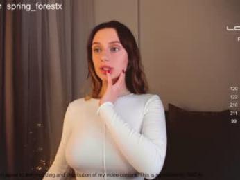 imagen del stream de spring_forestx