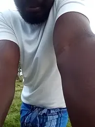 dolphiinn webcam model stream image