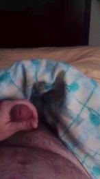 torcado47 webcam cam4 model stream image