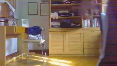 Toro20cmRMxxx webcam model stream image