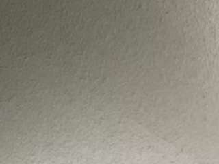 taylor-starr webcam model stream image