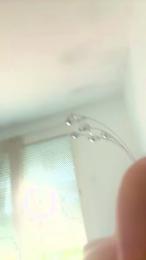 Asiianslut webcam model stream image