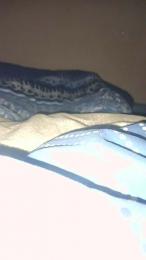 manuel8095 webcam model stream image