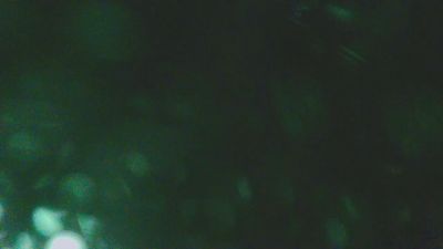 sxfun2011 webcam model stream image