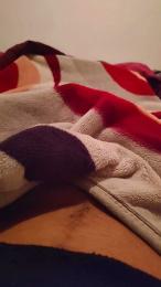 Pollatroni webcam model stream image