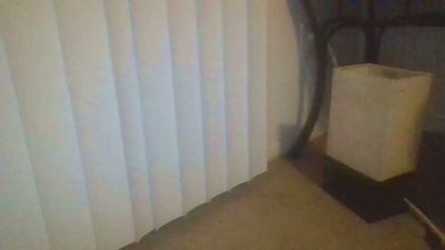 Silkworm_Piper webcam model stream image