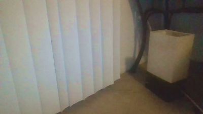 Silkworm_Piper webcam model stream image