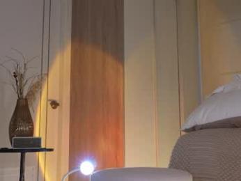 shinyways webcam model stream image