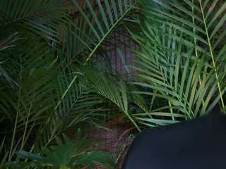 anastaxialynn webcam model stream image