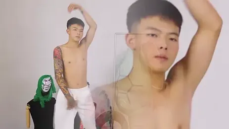 HA_HA_ webcam model stream image