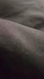 204000 webcam model stream image