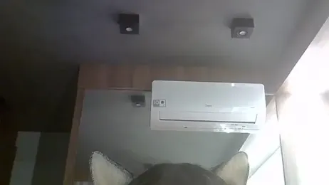 SkinnyKitten webcam model stream image