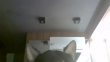 SkinnyKitten webcam model stream image