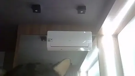 SkinnyKitten webcam model stream image