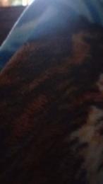 Muyganoso24 webcam cam4 model stream image