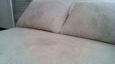 LERT19 webcam model stream image