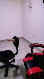 Masbandida553 webcam cam4 model stream image