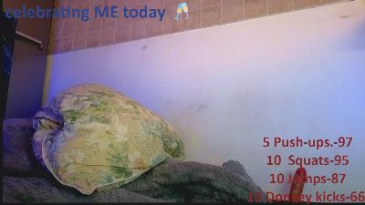 Biatriss webcam model stream image