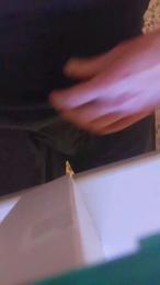 wandedarbis webcam cam4 model stream image