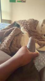Gilson95 webcam model stream image