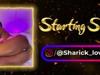 sharick_lovee webcam chaturbate model stream image