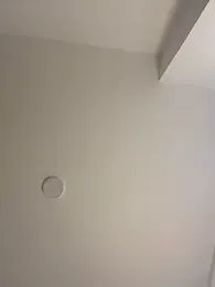 Sophie__Foxxx webcam stripchat model stream image