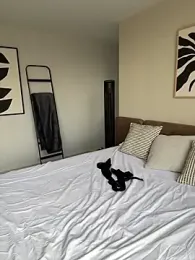 Thescorpionfr_ webcam model stream image