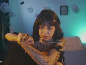 janne_maybe webcam model stream image