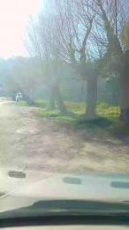 Danyblack1985 webcam cam4 model stream image