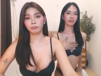 haisleypalmer webcam chaturbate model stream image