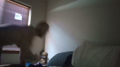 BigJ1988 webcam model stream image