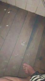 RiBelliPorcelli webcam model stream image