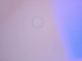 alyssia-collins webcam model stream image