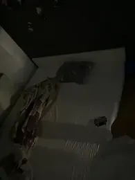 Mohdollmen webcam stripchat model stream image