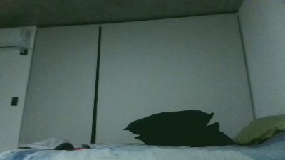 Sexylingerieboy webcam model stream image