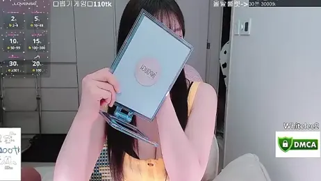 whitelee2 webcam model stream image