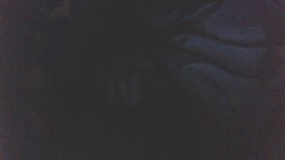 steevy2003 webcam model stream image