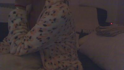 Donostipar webcam model stream image