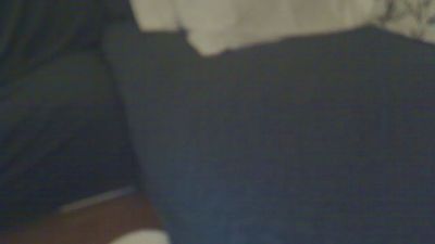 Donostipar webcam model stream image