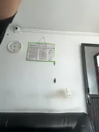 Jacobs0 webcam model stream image