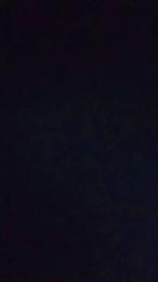 TBoy0 webcam model stream image