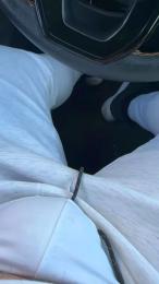 Peludeteee webcam model stream image